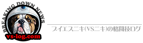 ブレイキングダウン結果速報/ブイエスニキ(VSニキ)の格闘技ログ